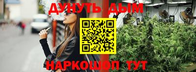 мдпв Кимры