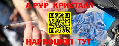 эйфоретик Кингисепп