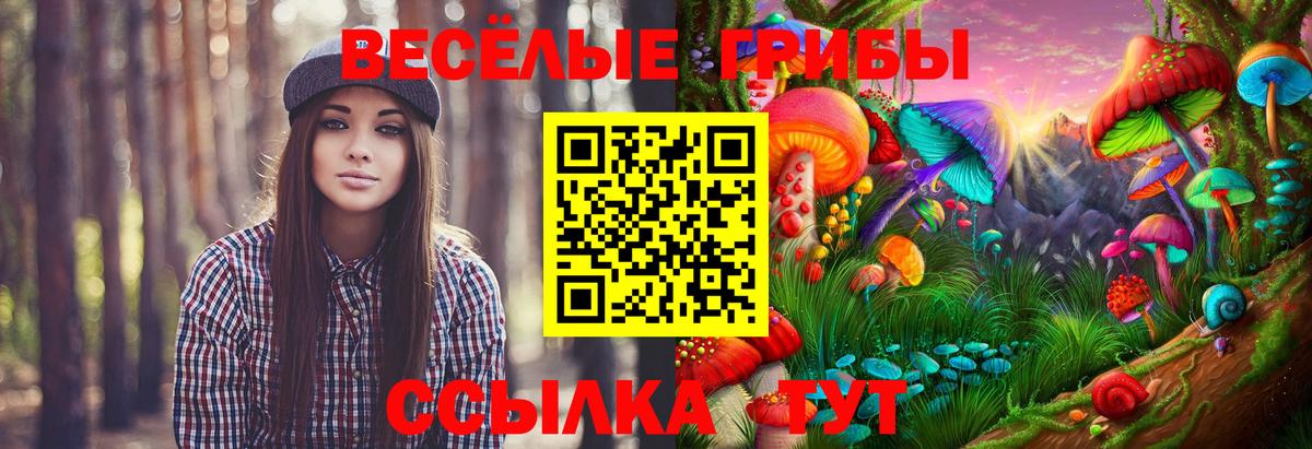 Галлюциногенные грибы мицелий  Вход с VPN  Каменск-Уральский  купить  цена  Псилоцибиновые грибы Magic Shrooms 